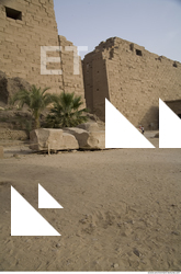 Photo Texture of Karnak Temple 0049