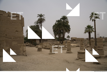 Photo Texture of Karnak Temple 0150