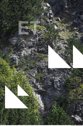 Cliffs Overgrown Rock