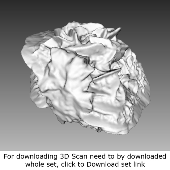 Rock 3D Scan