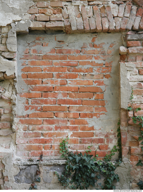 Derelict Windows