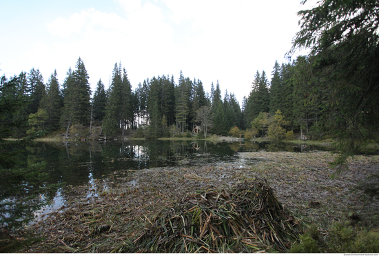 Background Forests