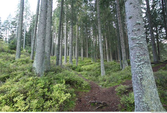 Background Forests