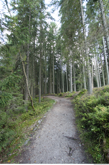 Background Forests