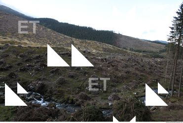 Photo Reference of Background Nature 0003