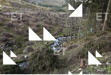 Photo Reference of Background Nature 0006