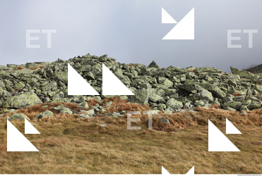 Photo Texture of Rock 0008