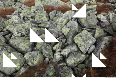 Photo Texture of Rock 0009