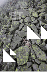 Photo Texture of Rock 0012