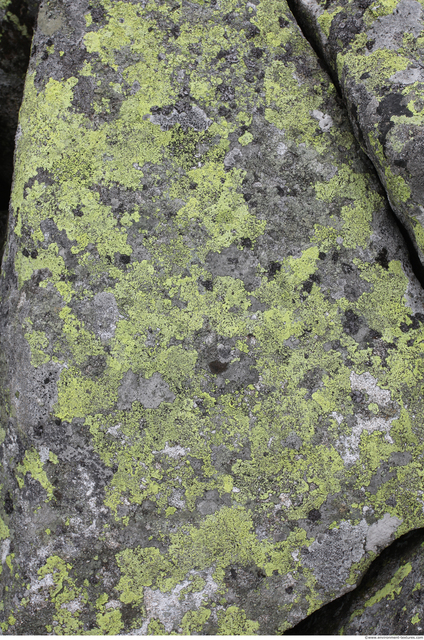 Mossy Rock