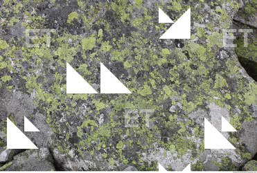 Photo Texture of Rock 0016