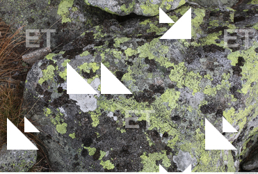 free photo texture of rock mossy