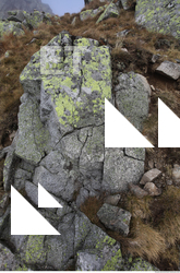 Photo Texture of Rock 0019