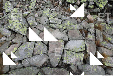 Photo Texture of Rock 0024