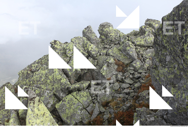 Photo Texture of Rock 0026