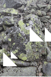 Photo Texture of Rock 0028