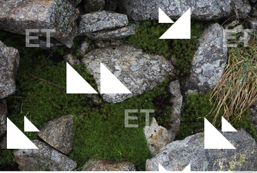 Photo Texture of Rock 0032