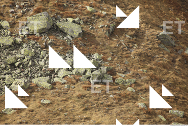 Photo Texture of Rock 0037