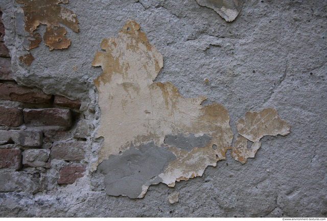 Wall Plaster Paint Peeling