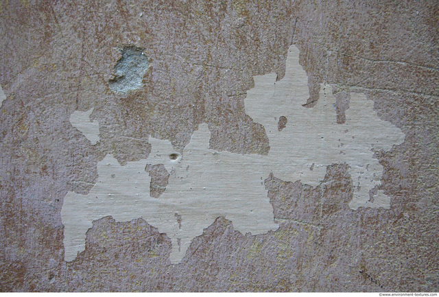 Wall Plaster Paint Peeling