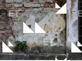 Photo Texture of Wall Plaster Damaged 0029