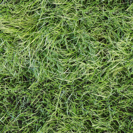 Seamless Grass