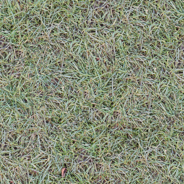 Seamless Grass