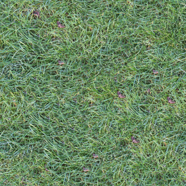 Seamless Grass