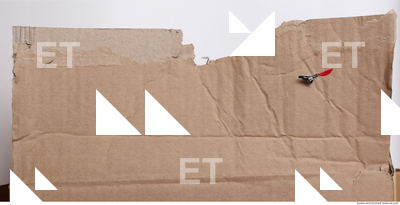 Damaged Cardboard