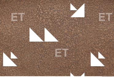 Photo Texture of Wallpaper 0068