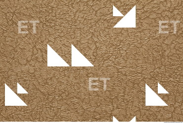 Photo Texture of Wallpaper 0077