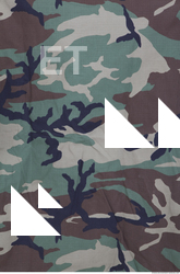 Camouflage Fabric