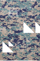 Camouflage Fabric