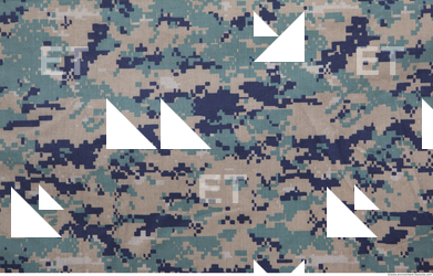 Camouflage Fabric