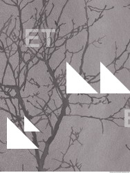 Photo Texture of Wallpaper 0227