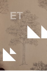 Photo Texture of Wallpaper 0550