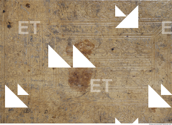 Photo Texture of Historical Book 0058