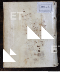 Photo Texture of Historical Book 0100