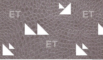 Photo Texture of Wallpaper 0593