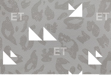 Photo Texture of Wallpaper 0723