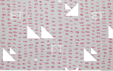 Photo Texture of Wallpaper 0781