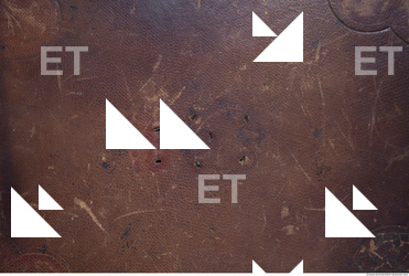 Photo Texture of Historical Book 0335