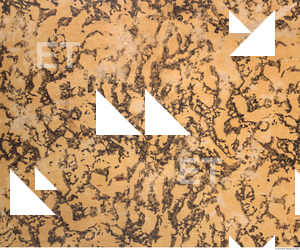 Photo Texture of Historical Book 0359