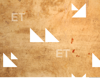 Photo Texture of Historical Book 0392