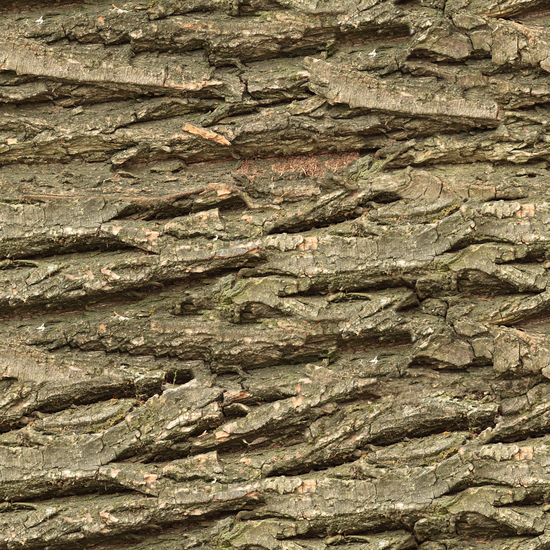 Seamless Tree Bark