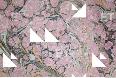 Photo Texture of Historical Book 0511