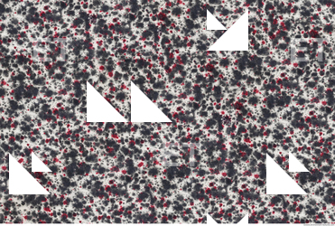 Photo Texture of Historical Book 0534