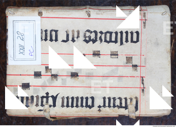 Photo Texture of Historical Book 0595