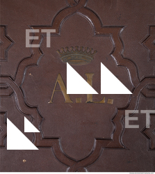 Photo Texture of Historical Book 0690