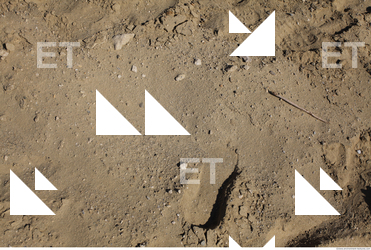 Photo Texture of Sand 0014